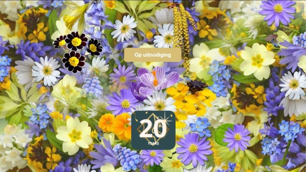 A whole bunch of different flowers 20 years